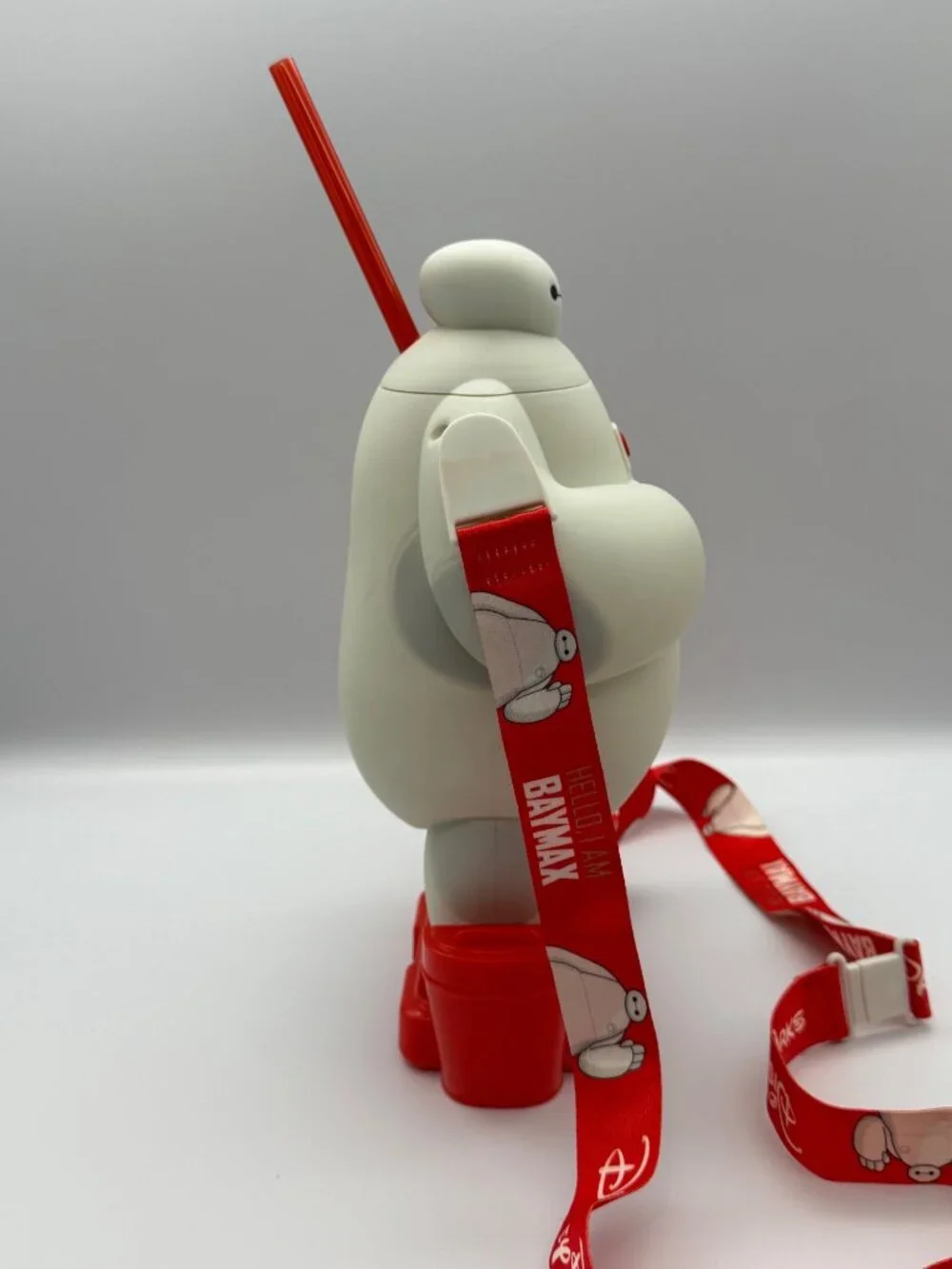 Disney Park Baymax 10